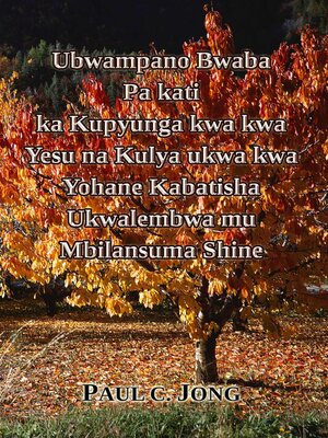 cover image of Ubwampano Bwaba Pa kati ka Kupyunga kwa kwa Yesu na Kulya ukwa kwa Yohane Kabatisha Ukwalembwa mu Mbilansuma Shine